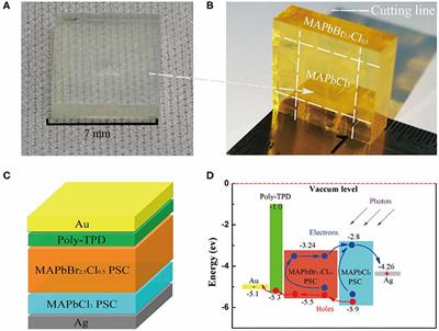 Enhanced Performance of Perovskite Single-Crystal Photodiodes by Epitaxial Hole Blocking Layer